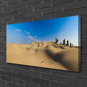 Vászonkép falra Fekvő sivatagi homok 100x50 cm