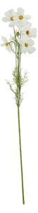 FLORISTA pillangóvirág 78 cm , sárgabarack szín