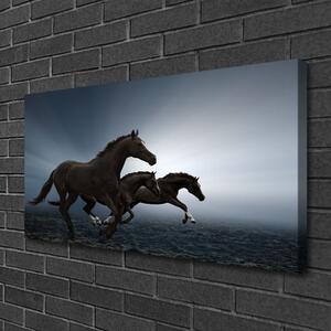 Vászonfotó lovak Állatok 100x50 cm
