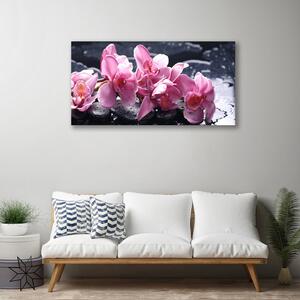 Vászonkép nyomtatás Orchidea virág Peace 100x50 cm