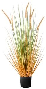 Műnövény BRISTLEGRASS 90 cm Zöld