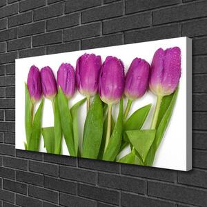 Vászonkép falra Tulipán virágok Plant