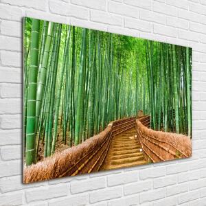 Üvegkép Nyomtatás Bambusz erdő