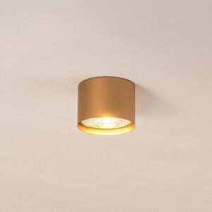 Argon Chloe mennyezeti spotlámpa, rögzített, arany, dimmelhető, Sárgaréz / arany, Nappali / Étkező, fém, Modern