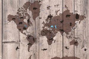 Öntapadó tapéta térkép fa háttéren