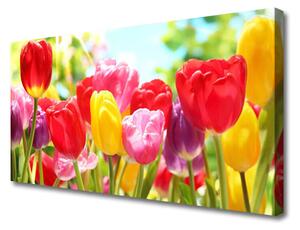 Vászonkép falra Tulipán virágok Plant 100x50 cm