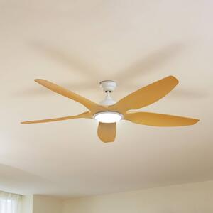 Lucande LED mennyezeti ventilátor Omendo, fehér, DC, csendes, CCT, dimmelhető, Fehér / opál, Nappali / Étkező, fém, Modern