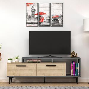 TV állvány Niva-Sapphire Oak, Anthracite Zafír tölgy Antracit