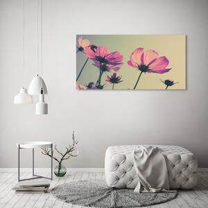 Vászonkép nyomtatás Rózsaszín virágok