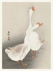Reprodukció Two Geese (Japandi Vintage) - Ohara Koson, (30 x 40 cm)