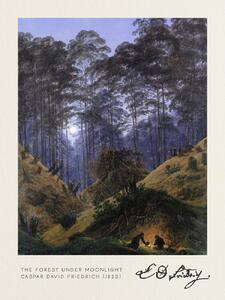 Reprodukció The Forest under Moonlight (Vintage Fantasy Landscape) - Casper David Friedrich, (30 x 40 cm)