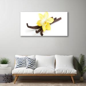 Canvas kép Vanília növény természet 100x50 cm