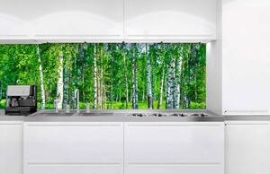 Konyhai fotótapéta - nyírfa liget 180 x 60 cm