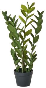 Műnövény ZAMIIFOLIA 76 cm Zöld