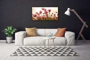 Vászonkép Virág Vadvirágok Mező Természet 100x50 cm