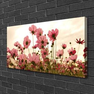 Vászonkép Virág Vadvirágok Mező Természet 100x50 cm