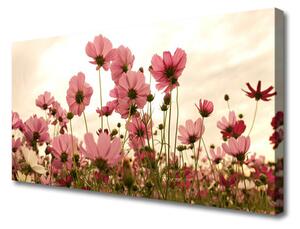 Vászonkép Virág Vadvirágok Mező Természet 100x50cm