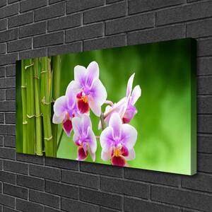 Vászonkép falra Bamboo Orchid Virág Zen