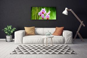Vászonkép falra Bamboo Orchid Virág Zen