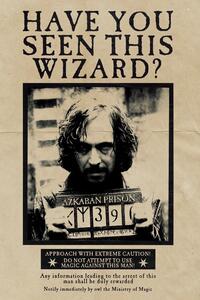 Művészi plakát Harry Potter - Wanted Sirius Black, (26.7 x 40 cm)