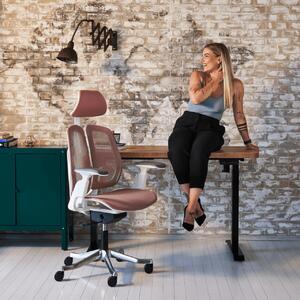 Ergonomikus irodai szék Liftor Active, fekete (textil + háló)