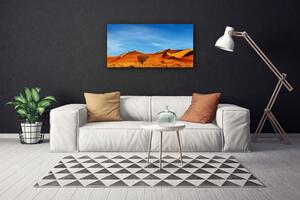 Vászonkép Fekvő sivatagi homok 100x50 cm