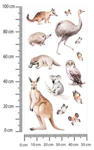 Gyerekszoba falmatrica - Ausztrál állatok