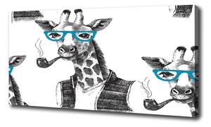 Vászonkép Zsiráf szemüveg