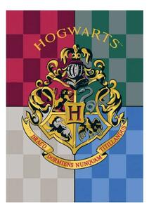 Harry Potter polár takaró Hogwarts 100x140cm