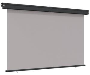 VidaXL sötétszürke oldalsó terasznapellenző 165 x 250 cm