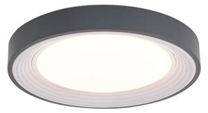 Modern szürke mennyezeti lámpa fehér színnel, 38 cm, LED-del, szabályozható - Kanton