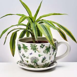 PLANT A CUP csésze alakú kaspó, levendula csokrok