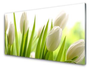 Modern üvegkép tulipán virágok