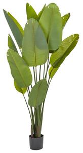 Műnövény BANANA TREE 187 cm Zöld