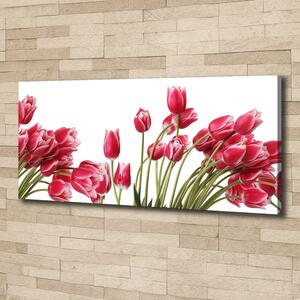 Vászonkép nyomtatás Piros tulipánok