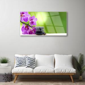 Üvegkép Orchideák zöld virágok