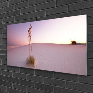 Üvegkép Sand sivatagi táj 100x50 cm
