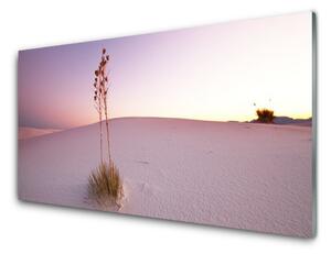 Üvegkép Sand sivatagi táj 100x50 cm