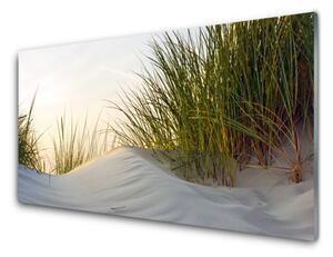 Üvegkép Sand Grass Landscape 100x50 cm