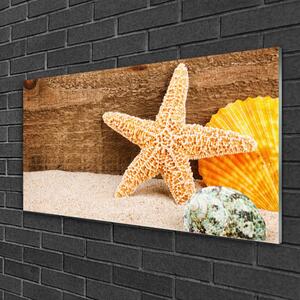 Üvegkép Starfish Sand Art 100x50 cm