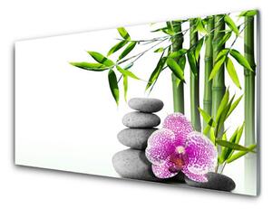 Modern üvegkép Spa Zen Bamboo Art