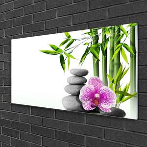 Modern üvegkép Spa Zen Bamboo Art