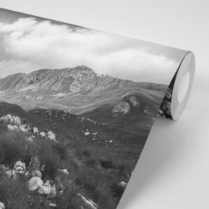 Fotótapéta völgy Montenegróban fekete fehérben