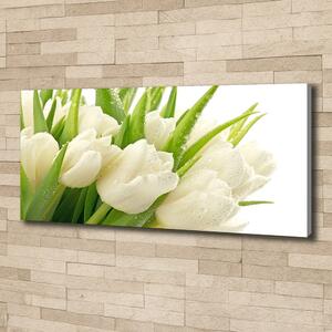 Egyedi vászonkép Fehér tulipán