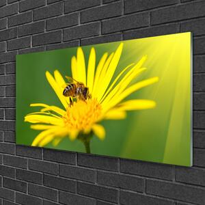 Modern üvegkép Bee Virág Természet