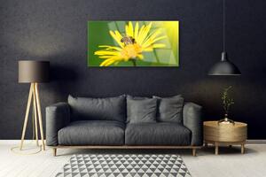 Modern üvegkép Bee Virág Természet