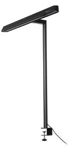 Spotlámpa Arcchio, Shax, dimmable, Fekete, Dolgozószoba / iroda, Fém, Modern