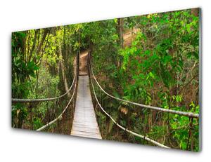 Modern üvegkép Most dzsungel esőerdő