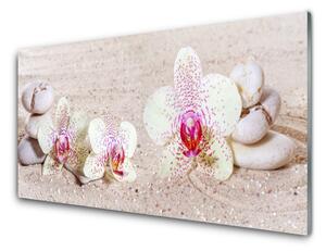 Fali üvegkép Orchidea Orchidea Sand 100x50 cm