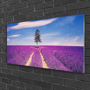 Modern üvegkép Lavender Field Mező Fa